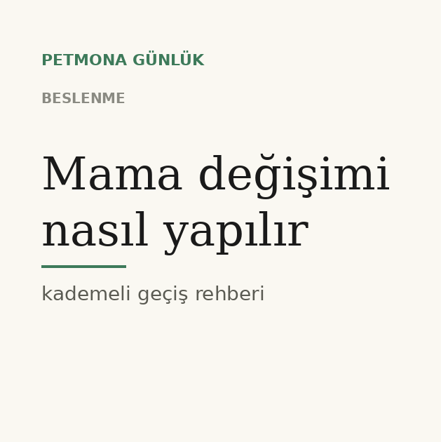 Mama değişimi nasıl yapılır: 7 günde kademeli geçiş