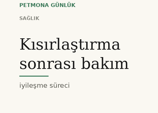 Kısırlaştırma sonrası bakım: ilk 48 saat ve sonrası