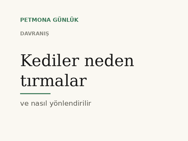 Kediler neden tırmalar ve doğru yere nasıl yönlendirilir