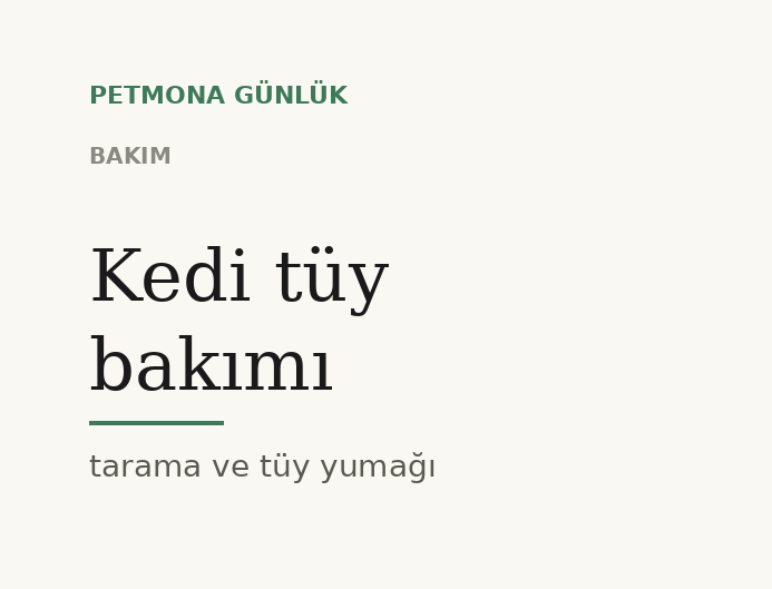 Kedi tüy bakımı: tarama, tüy yumağı ve dökülme