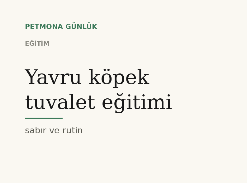 Yavru köpek tuvalet eğitimi: rutin, ödül ve sabır