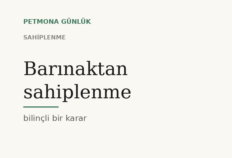 Barınaktan sahiplenme: karar, süreç ve sorumluluk