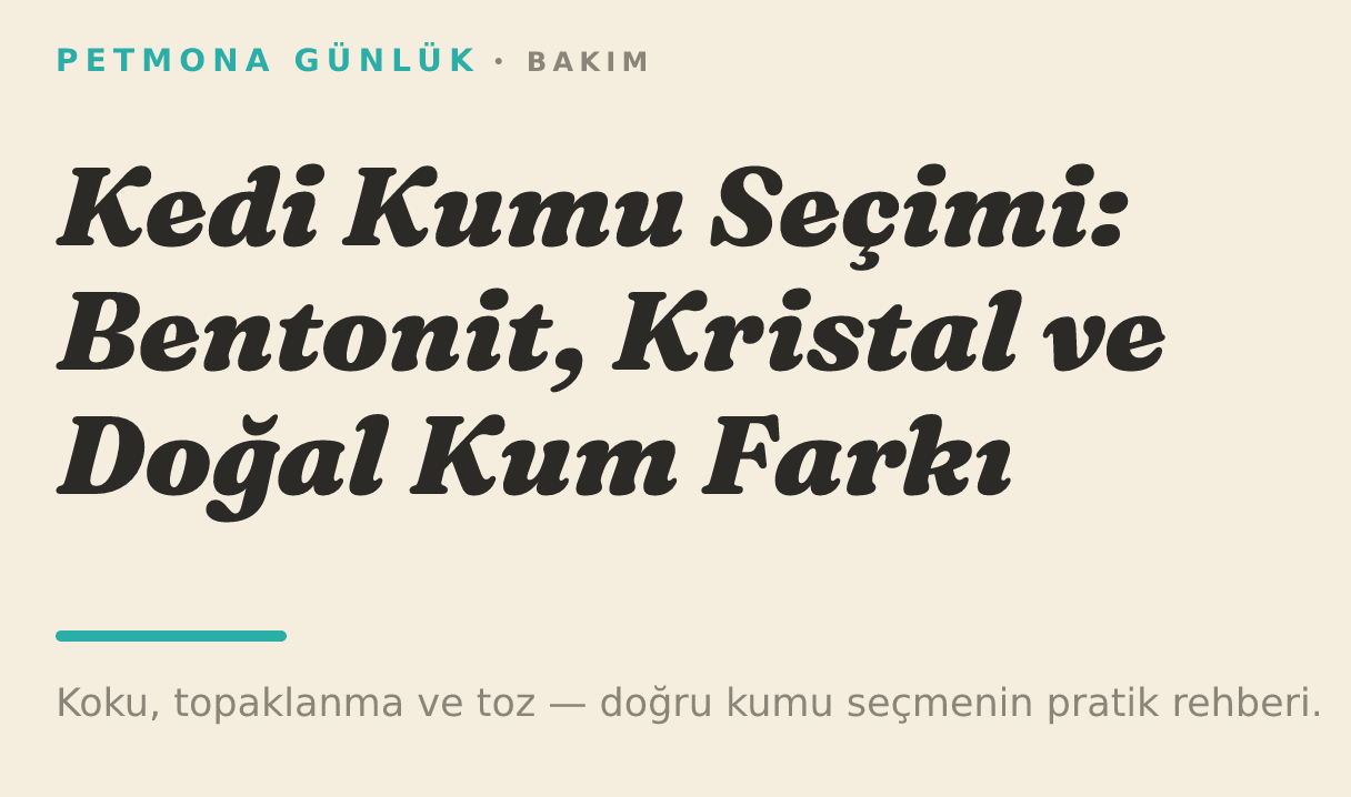 Kedi Kumu Seçimi: Bentonit, Kristal ve Doğal Kum Farkı