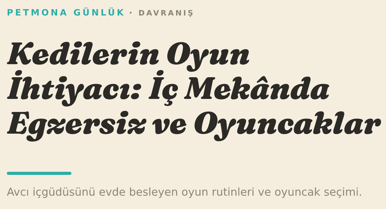 Kedilerin Oyun İhtiyacı: İç Mekânda Egzersiz ve Doğru Oyuncaklar