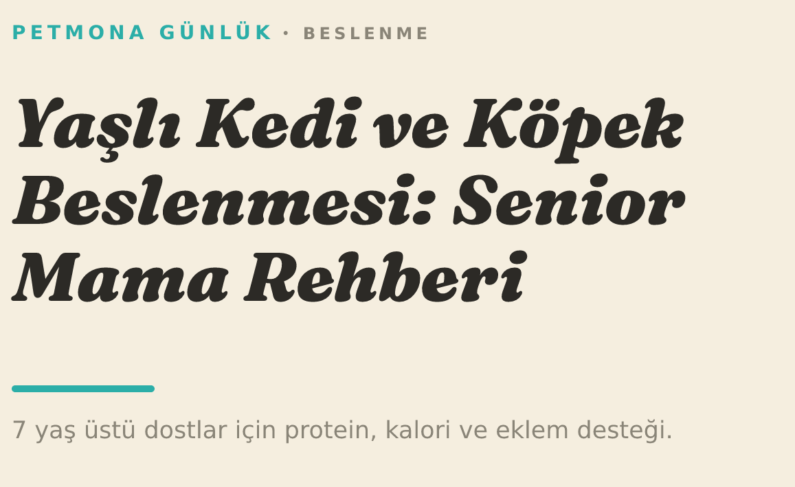 Yaşlı Kedi ve Köpek Beslenmesi: Senior Mama Rehberi