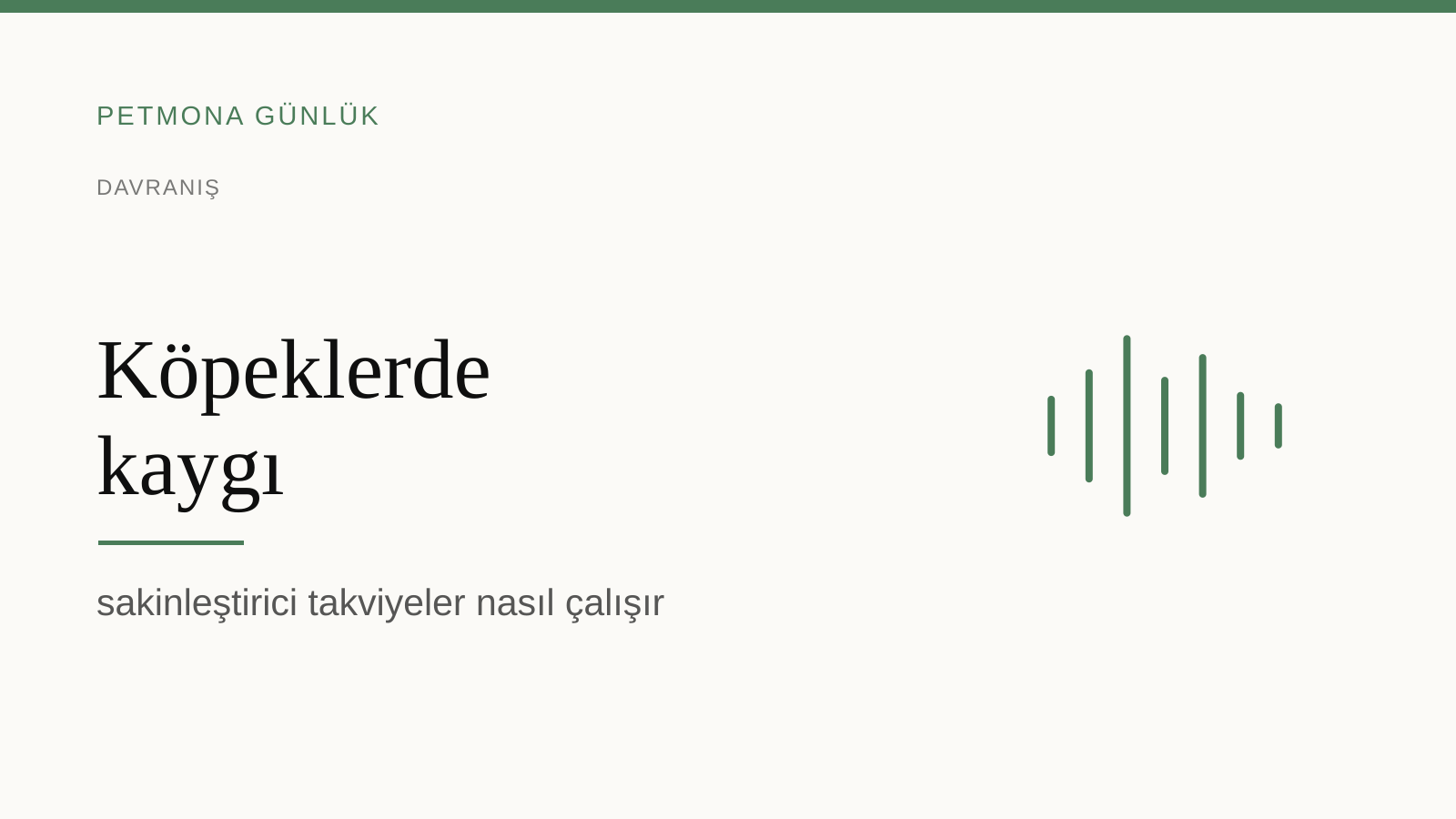 Köpeklerde kaygı: sakinleştirici takviyeler nasıl çalışır