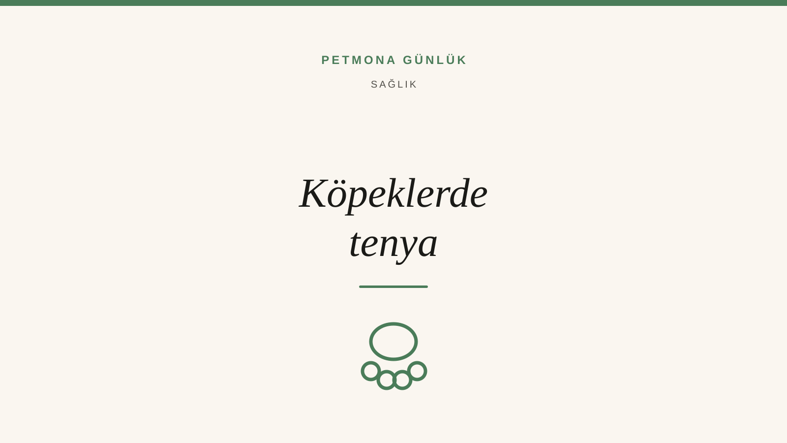 Köpeklerde Tenya ve İç Parazitler: Belirtiler, Tedavi, Korunma