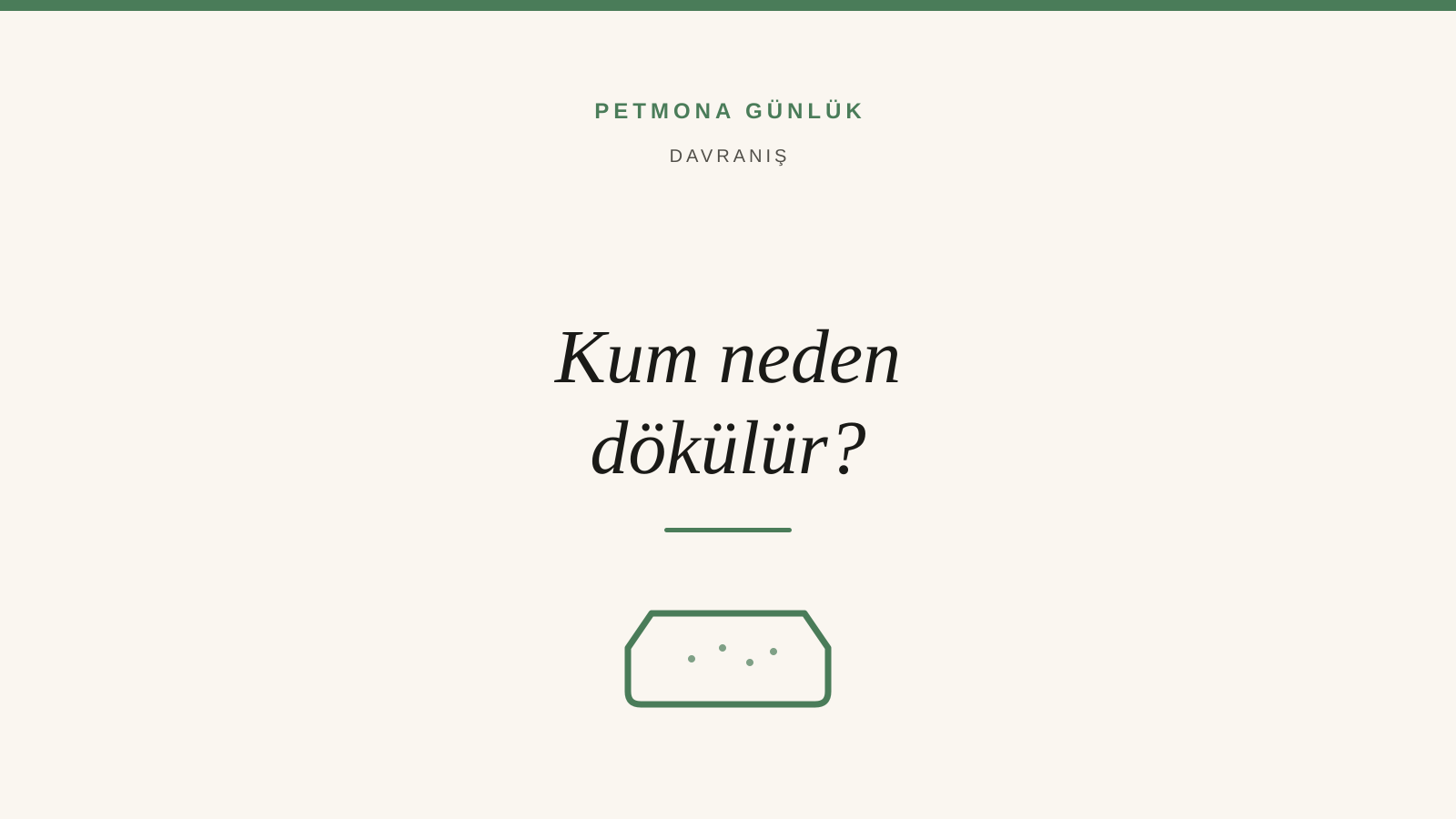 Kedi Neden Kumunu Dışarı Döküyor?
