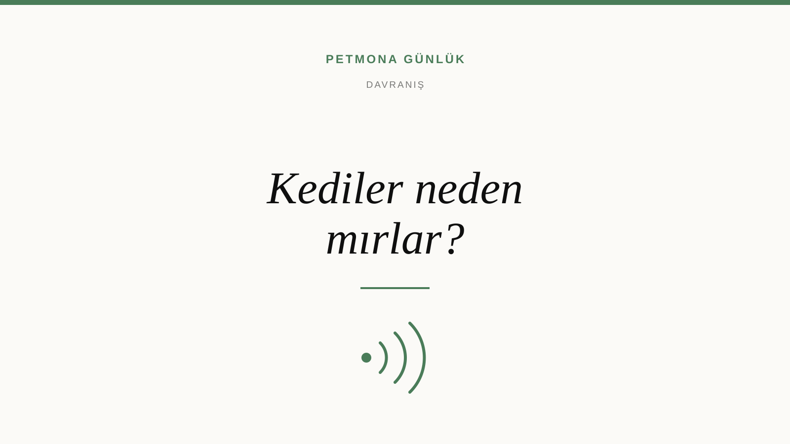 Kediler Neden Mırlar? Her Zaman Mutluluk Anlamına Gelmiyor