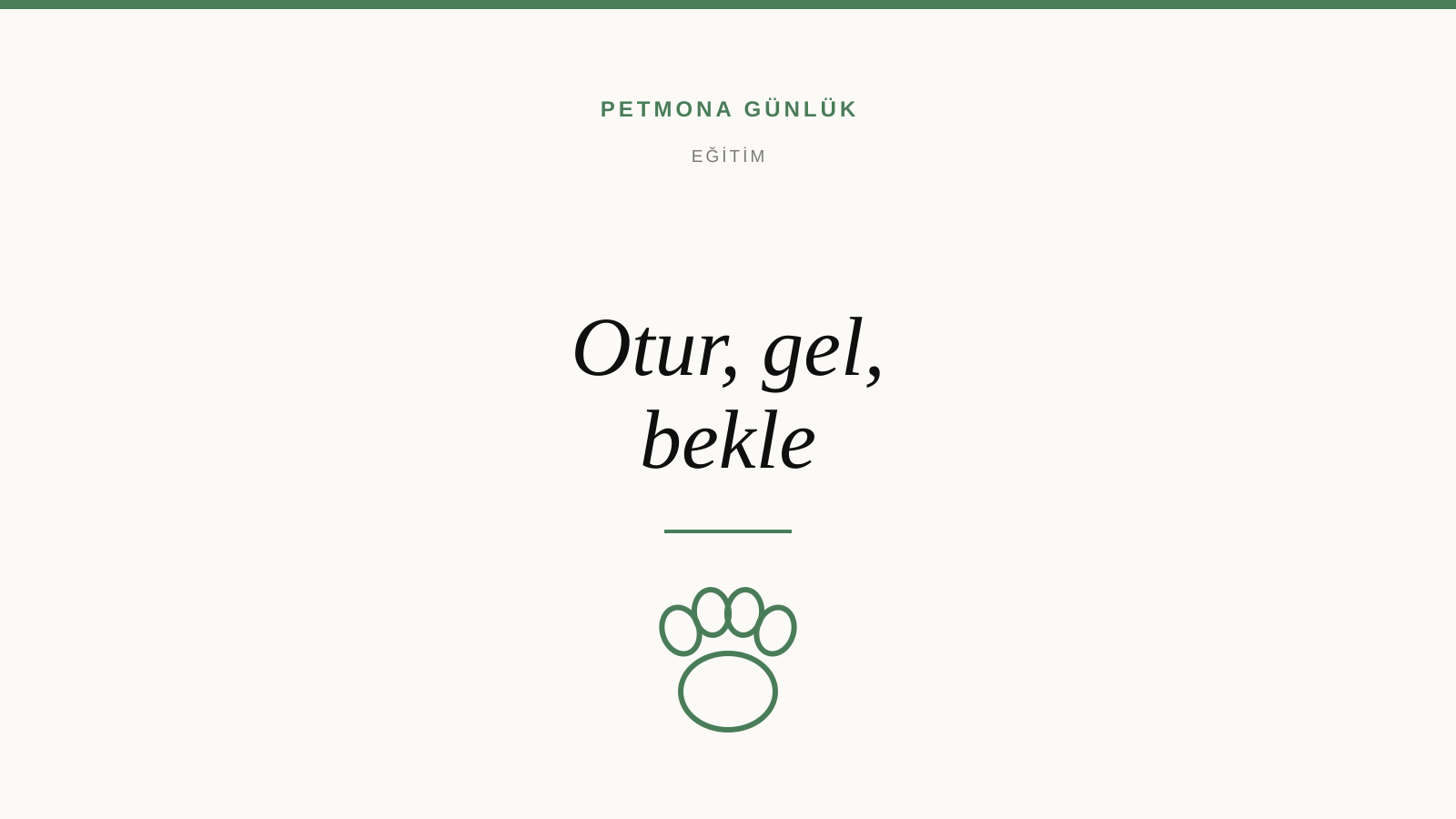 Köpeğe Otur, Gel, Bekle Nasıl Öğretilir? Ödül-Bazlı Eğitimin Bilimi