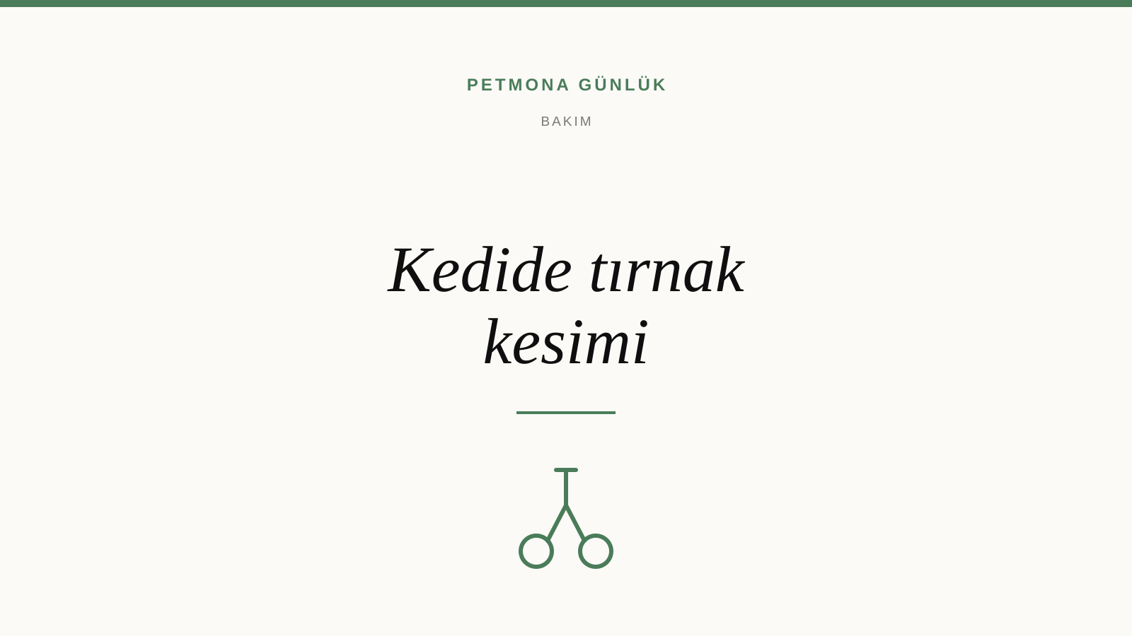 Kedilerde Tırnak Kesimi: Ne Sıklıkta ve Nasıl Güvenli Kesilir
