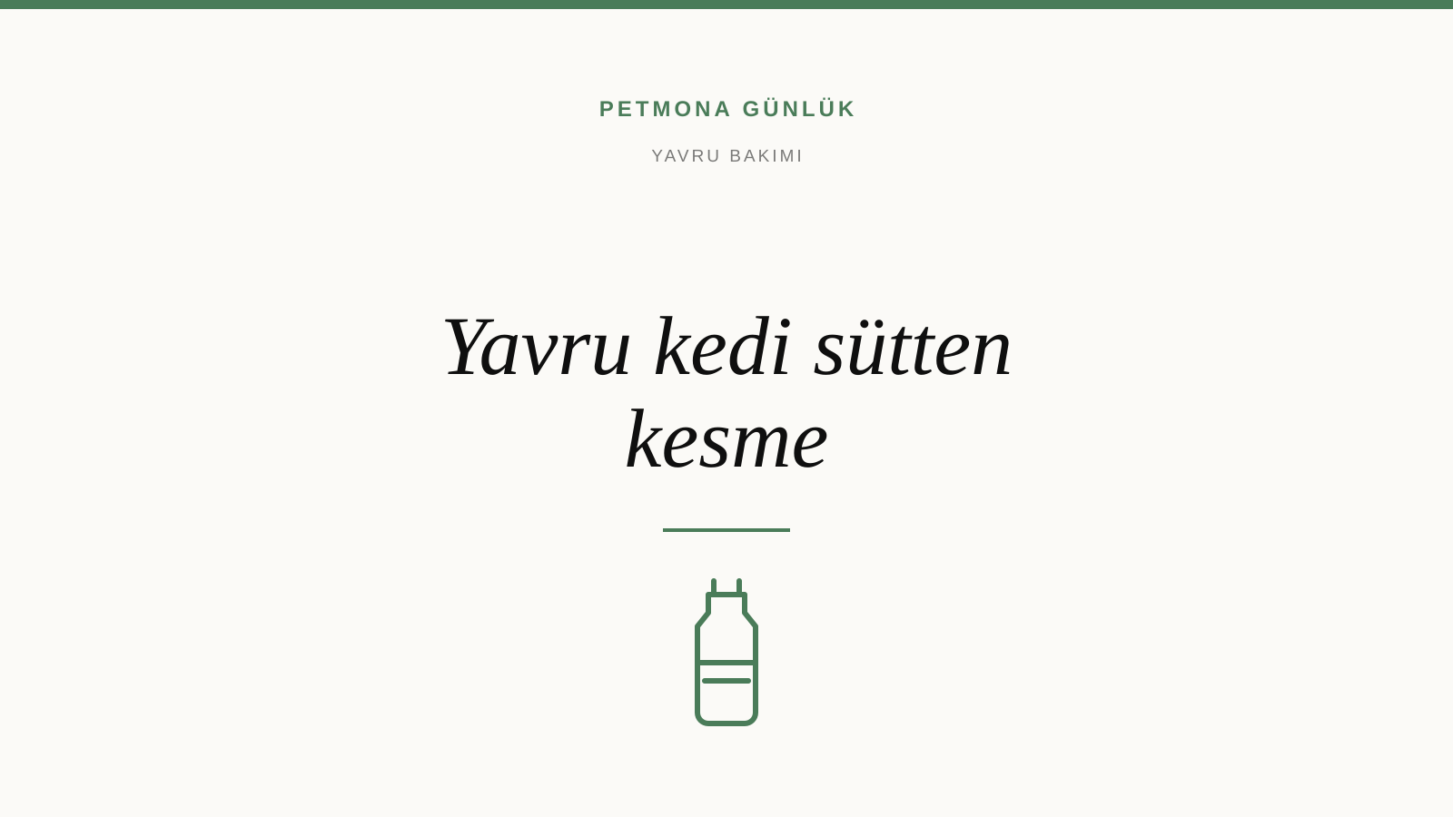 Yavru Kedi Sütten Kesme: Ne Zaman Mamaya Geçilir, Ne Zaman Yuvadan Ayrılmalı