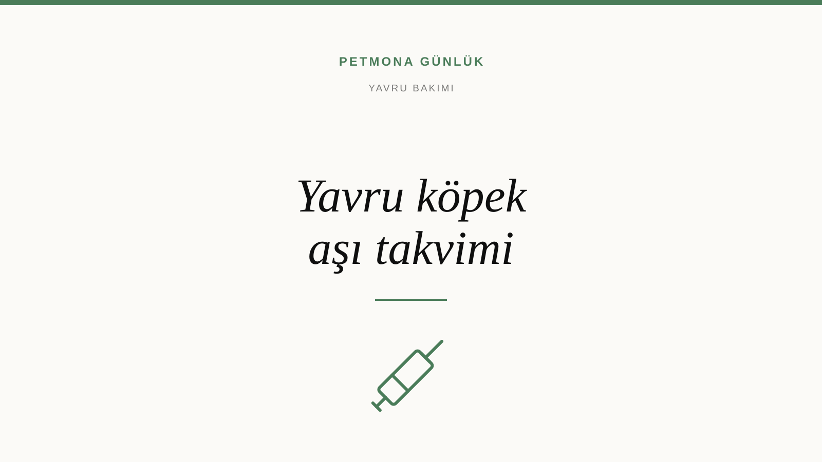 Yavru Köpek Aşı Takvimi: Tipik Program ve Kuduz Aşısının Yasal Zorunluluğu