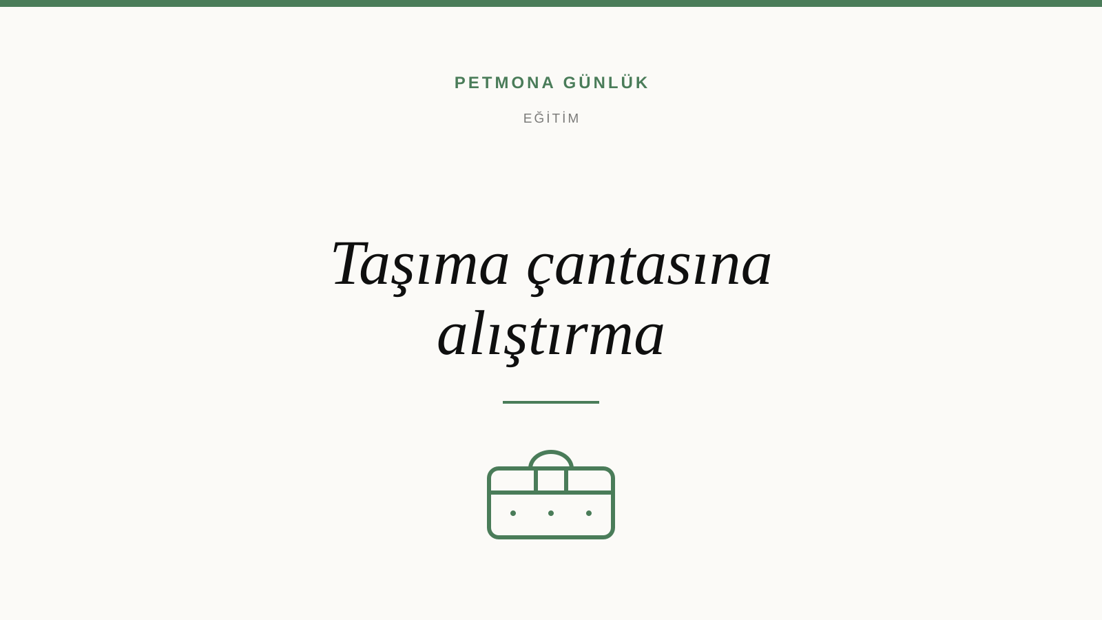 Kediyi Taşıma Çantasına Nasıl Alıştırırsınız?