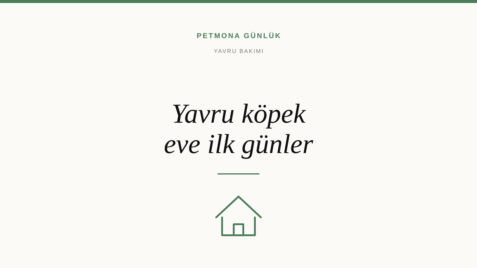 Yavru köpek eve geldiği ilk gün: hazırlık, ilk gece, ilk hafta