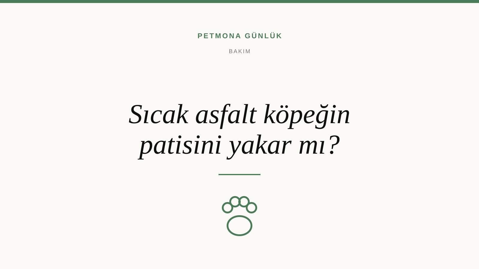 Sıcak asfalt köpeğin patisini yakar mı?