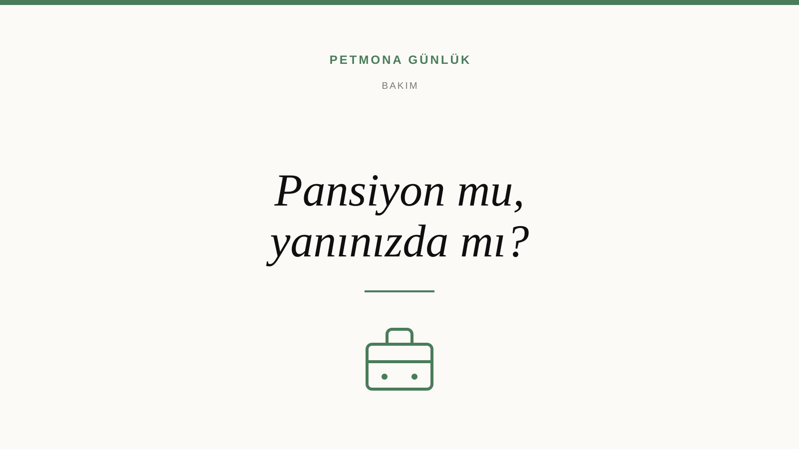 Tatile Giderken Evcil Hayvan: Pansiyon mu, Pet-Sitter mi?