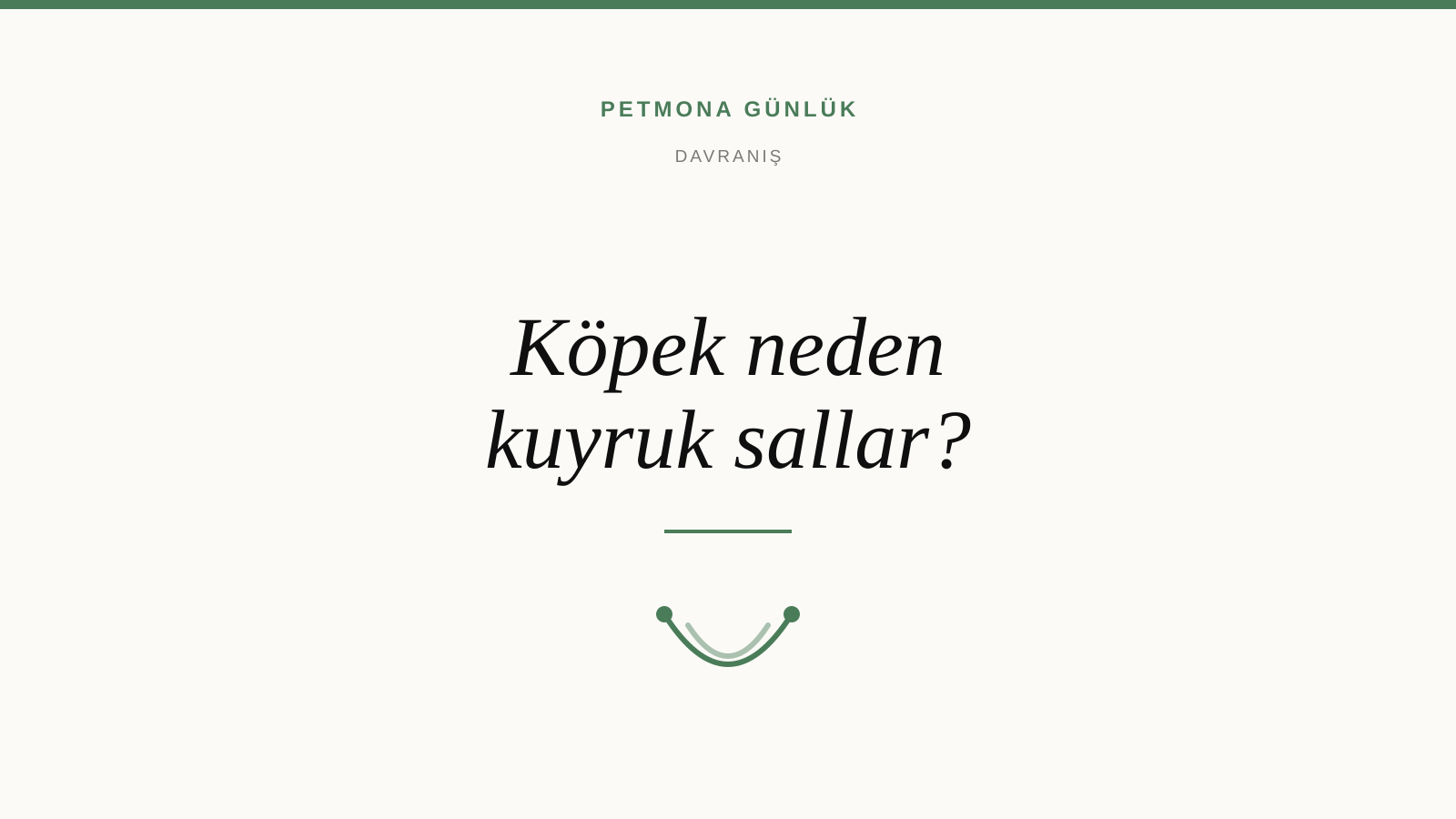 Köpek Neden Kuyruk Sallar? Her Zaman Mutluluk Anlamına Gelmiyor