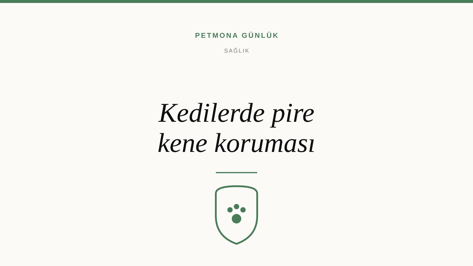 Kedilerde Pire ve Kene Koruması: Köpek İlacı Neden Kullanılamaz?