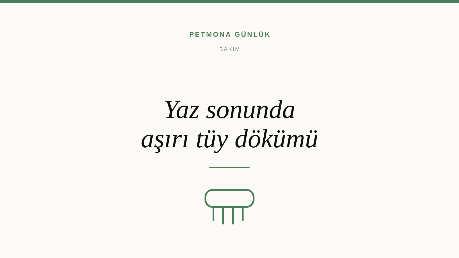 Köpekler yaz sonunda neden aşırı tüy döker