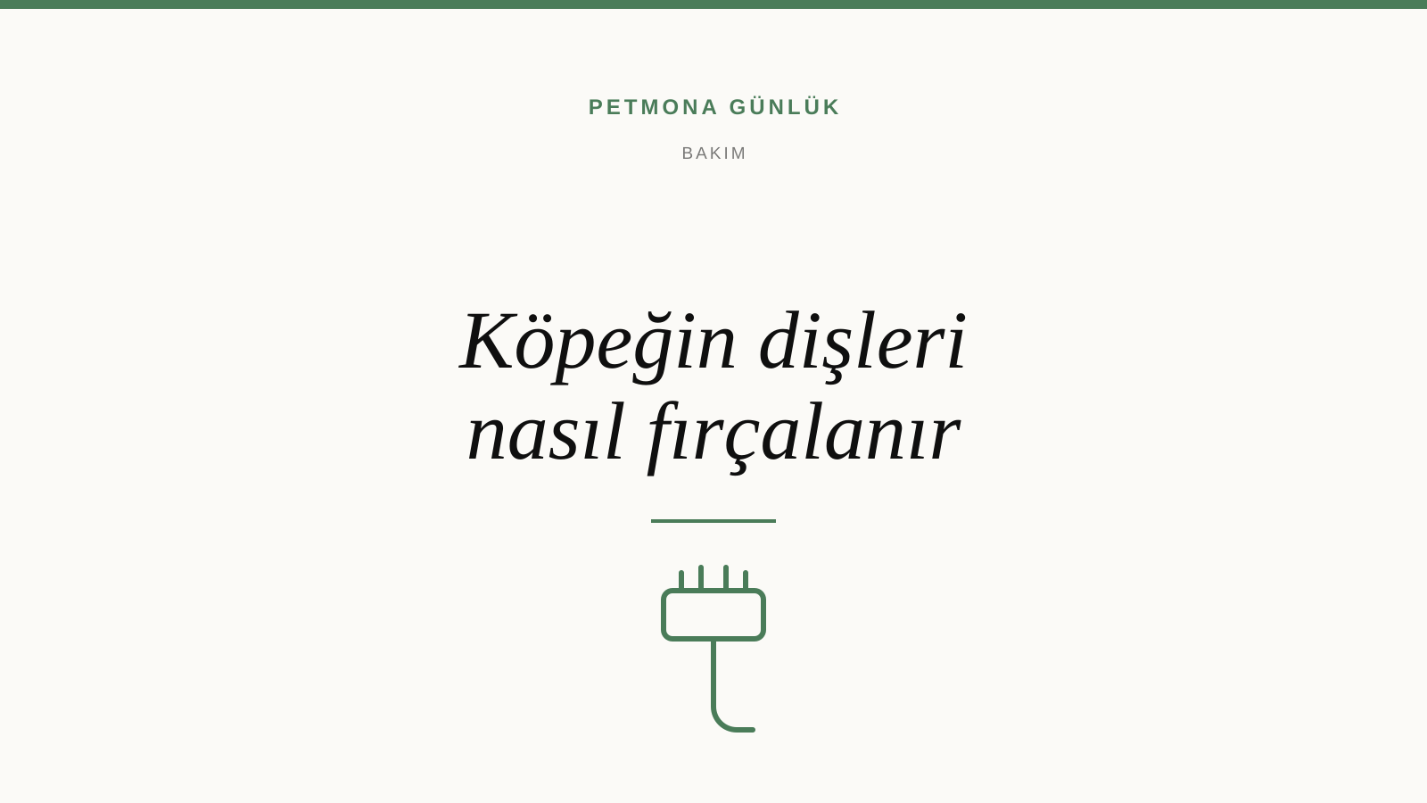 Köpeğin dişleri nasıl fırçalanır