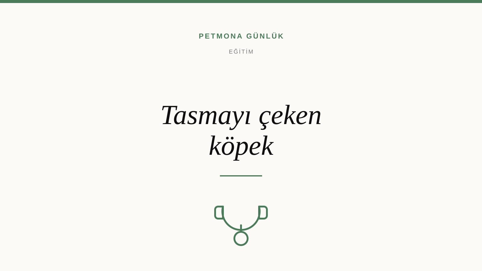 Tasmayı çeken köpek nasıl düzeltilir