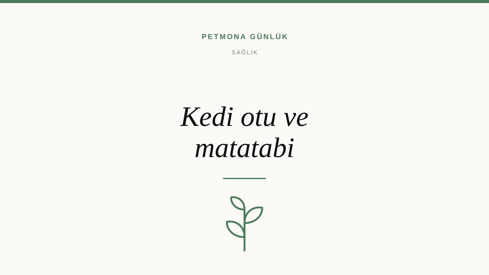 Kedi otu ve matatabi ne işe yarar