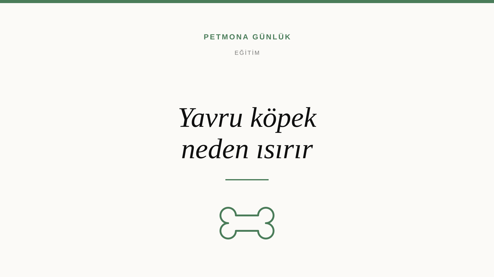 Yavru köpek neden ısırır ve nasıl durdurulur