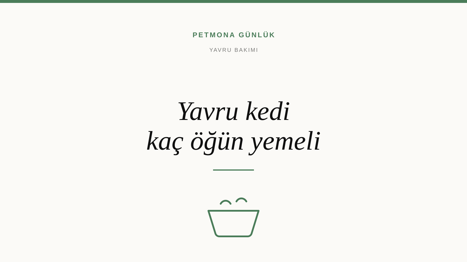 Yavru kedi günde kaç öğün ve ne kadar yemeli
