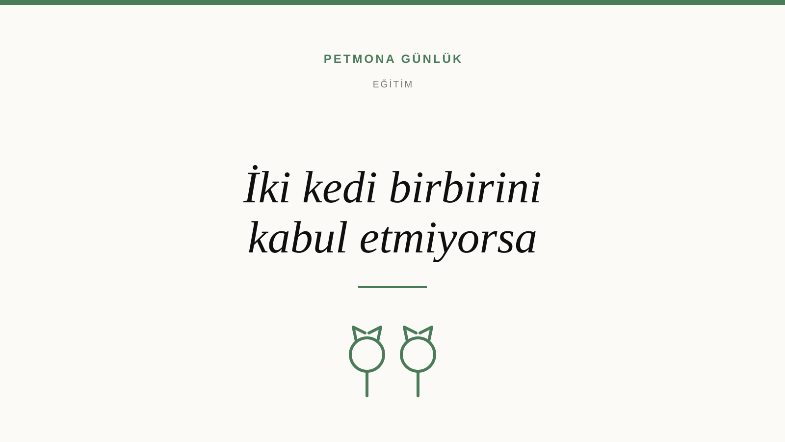 İki kedi birbirini kabul etmiyorsa ne yapılır