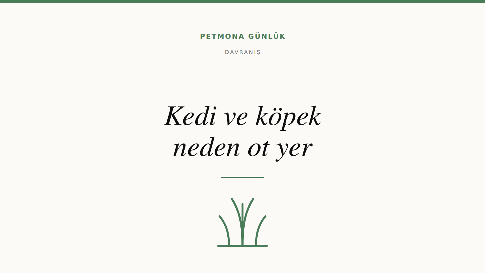 Kedi ve köpek neden ot yer