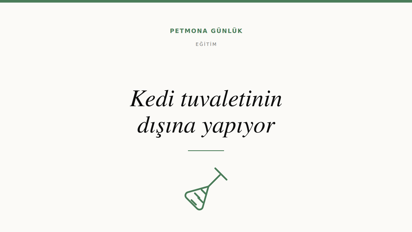 Kedi tuvaletinin dışına yapıyorsa ne yapılır