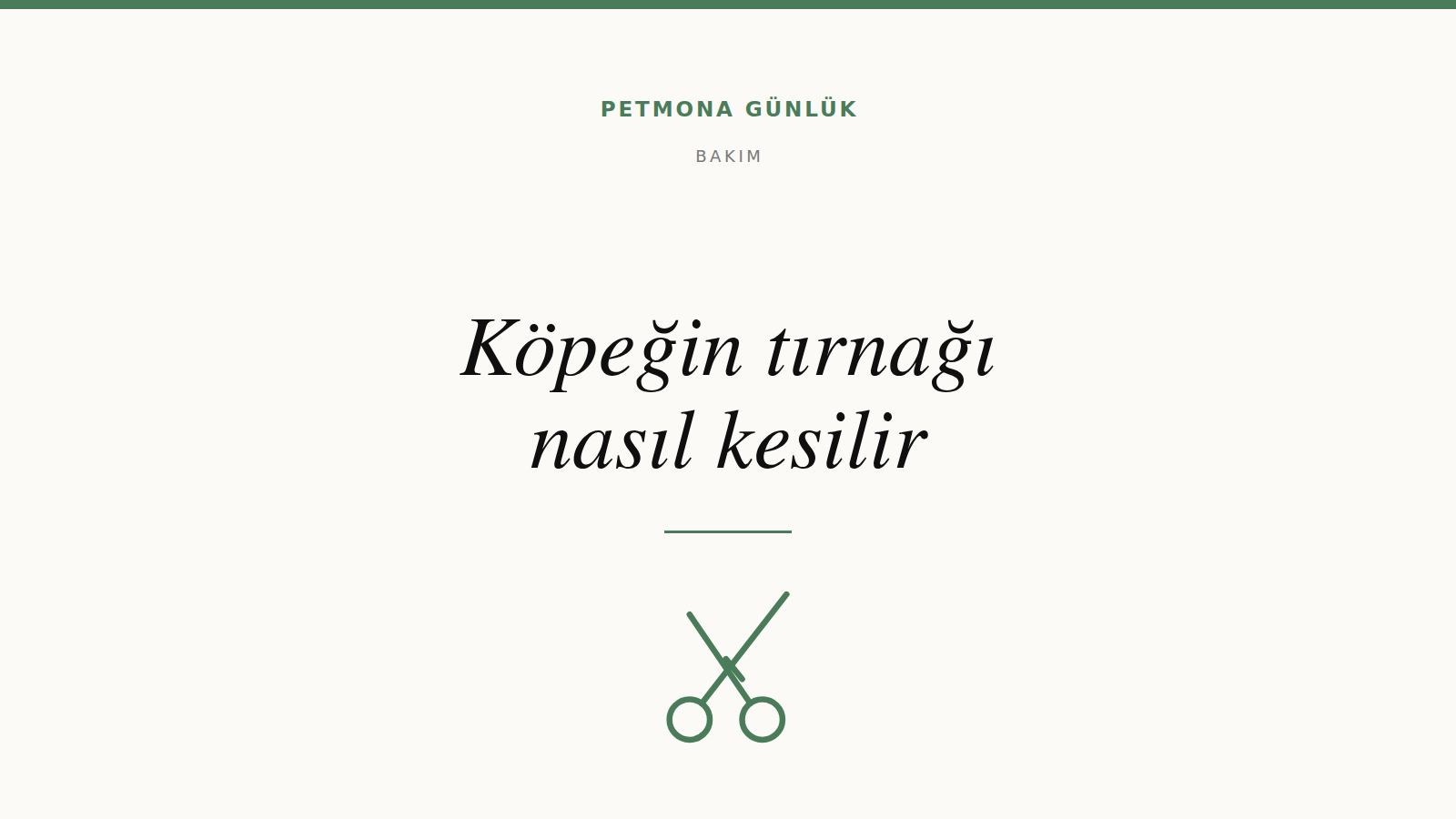 Köpeğin tırnağı nasıl kesilir