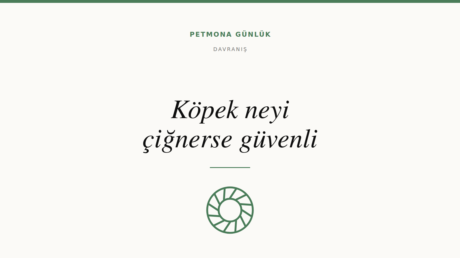 Köpek neyi çiğnerse güvenli olur