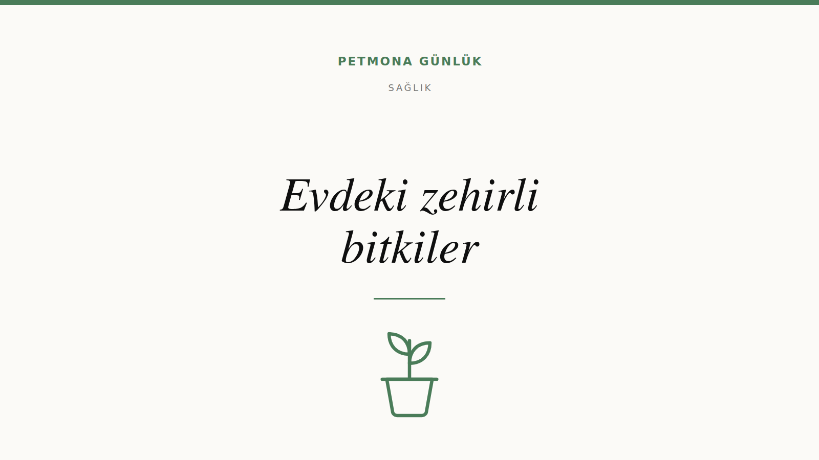 Evdeki hangi bitkiler kedi ve köpek için zehirli