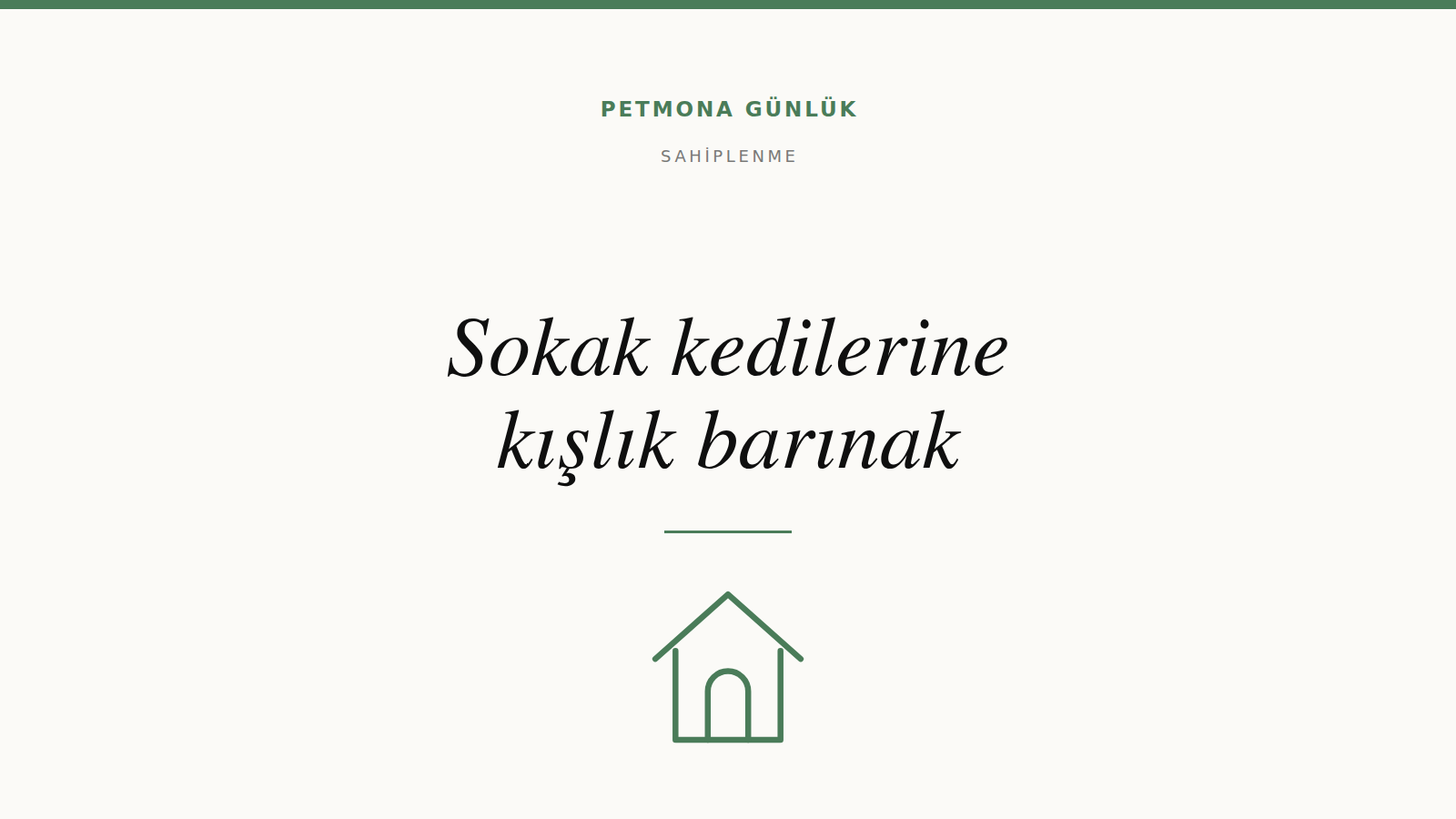 Sokak kedileri için kışlık barınak nasıl yapılır