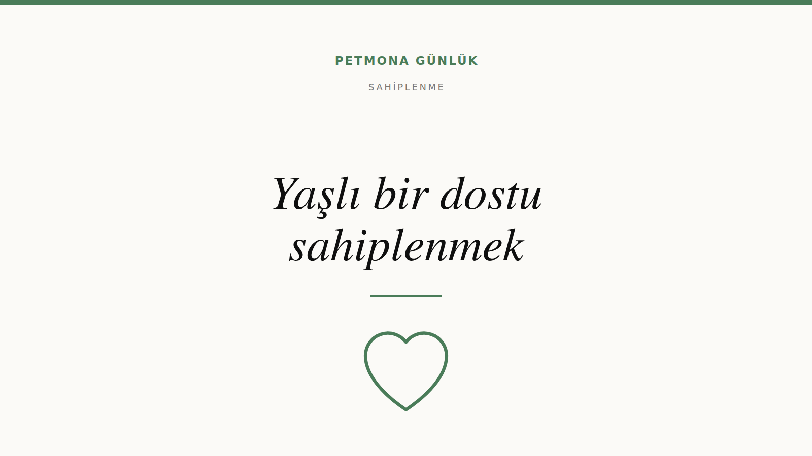 Yaşlı bir kediyi ya da köpeği sahiplenmek