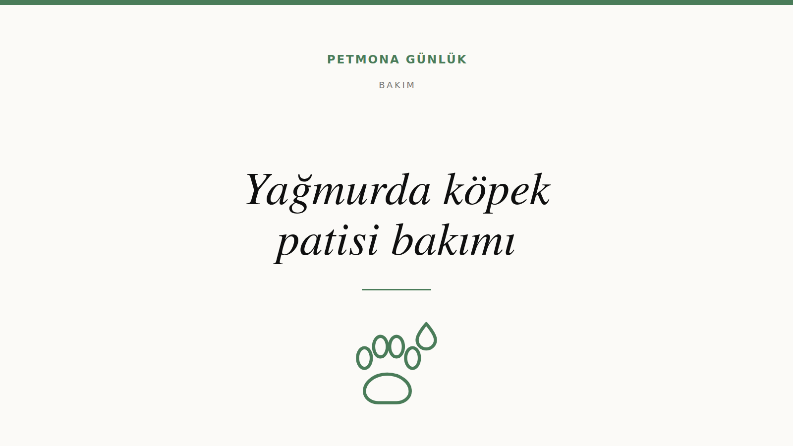 Yağmurlu havada köpek patisi nasıl korunur