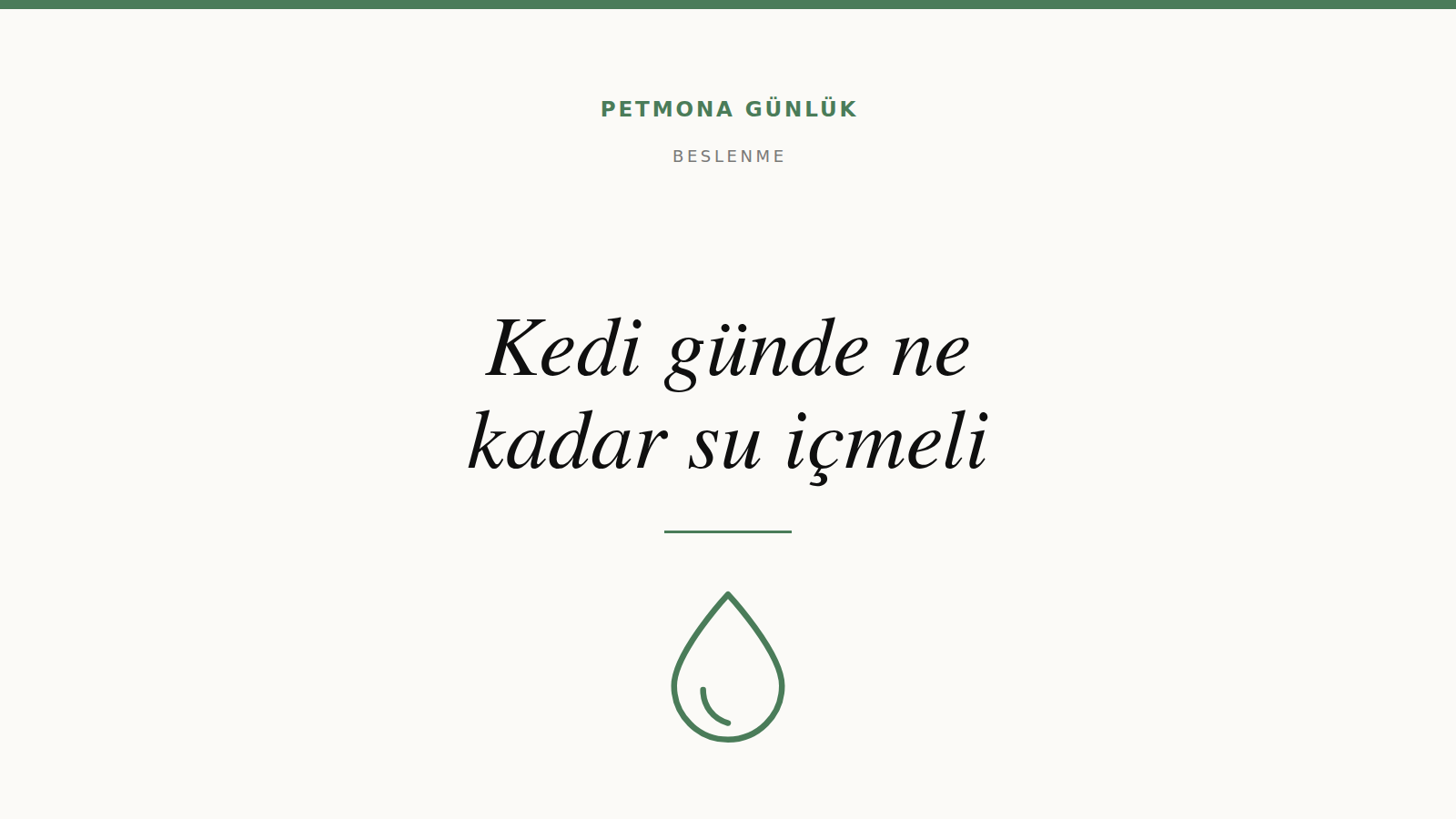 Kedi günde ne kadar su içmeli