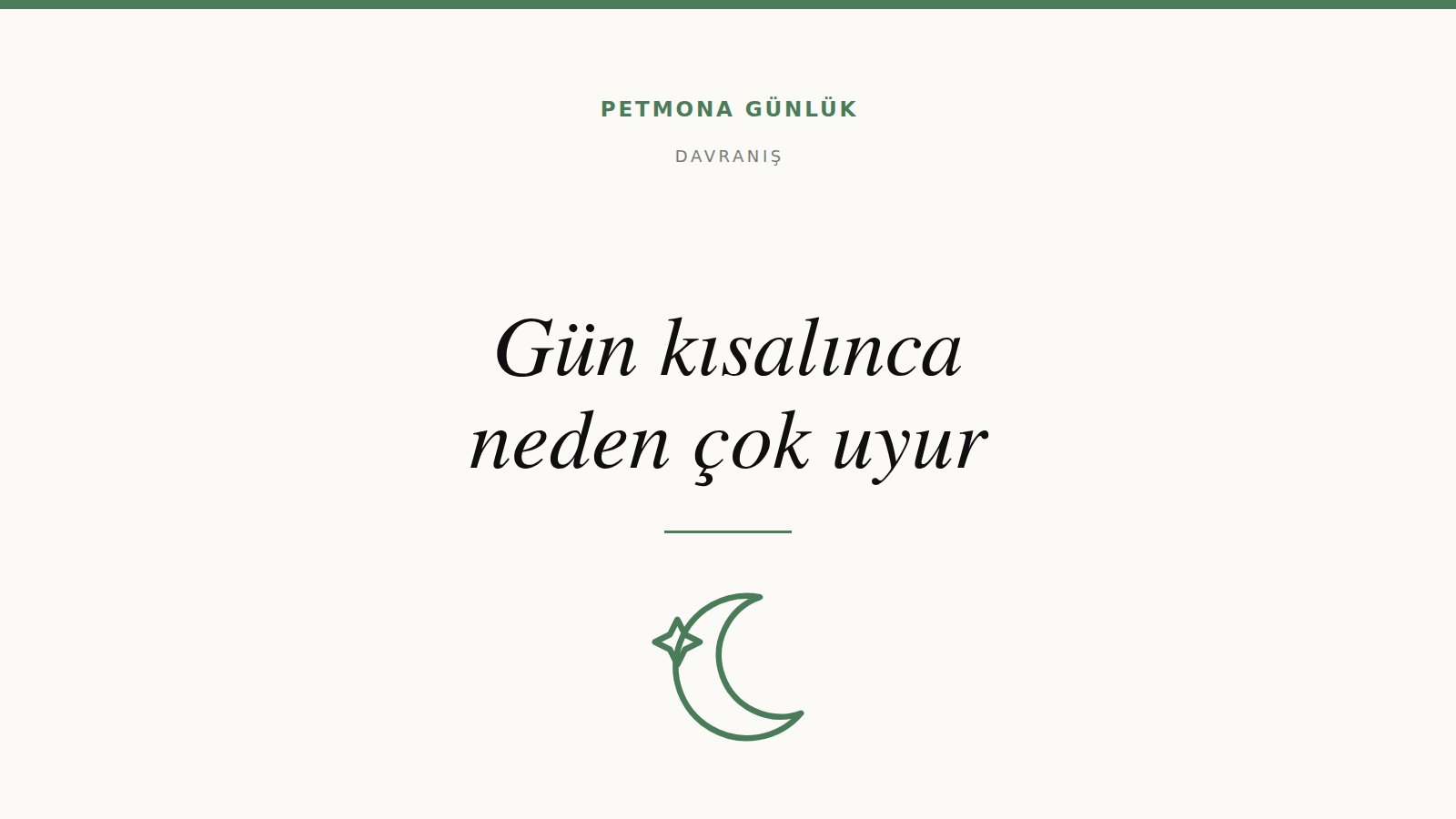 Gün kısalınca kedi ve köpek neden daha çok uyur