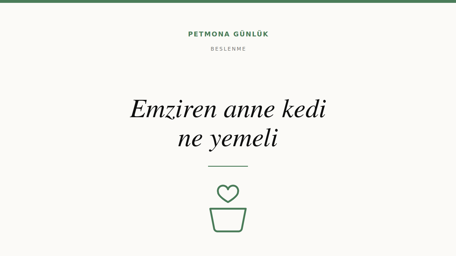 Emziren anne kedi ne yemeli