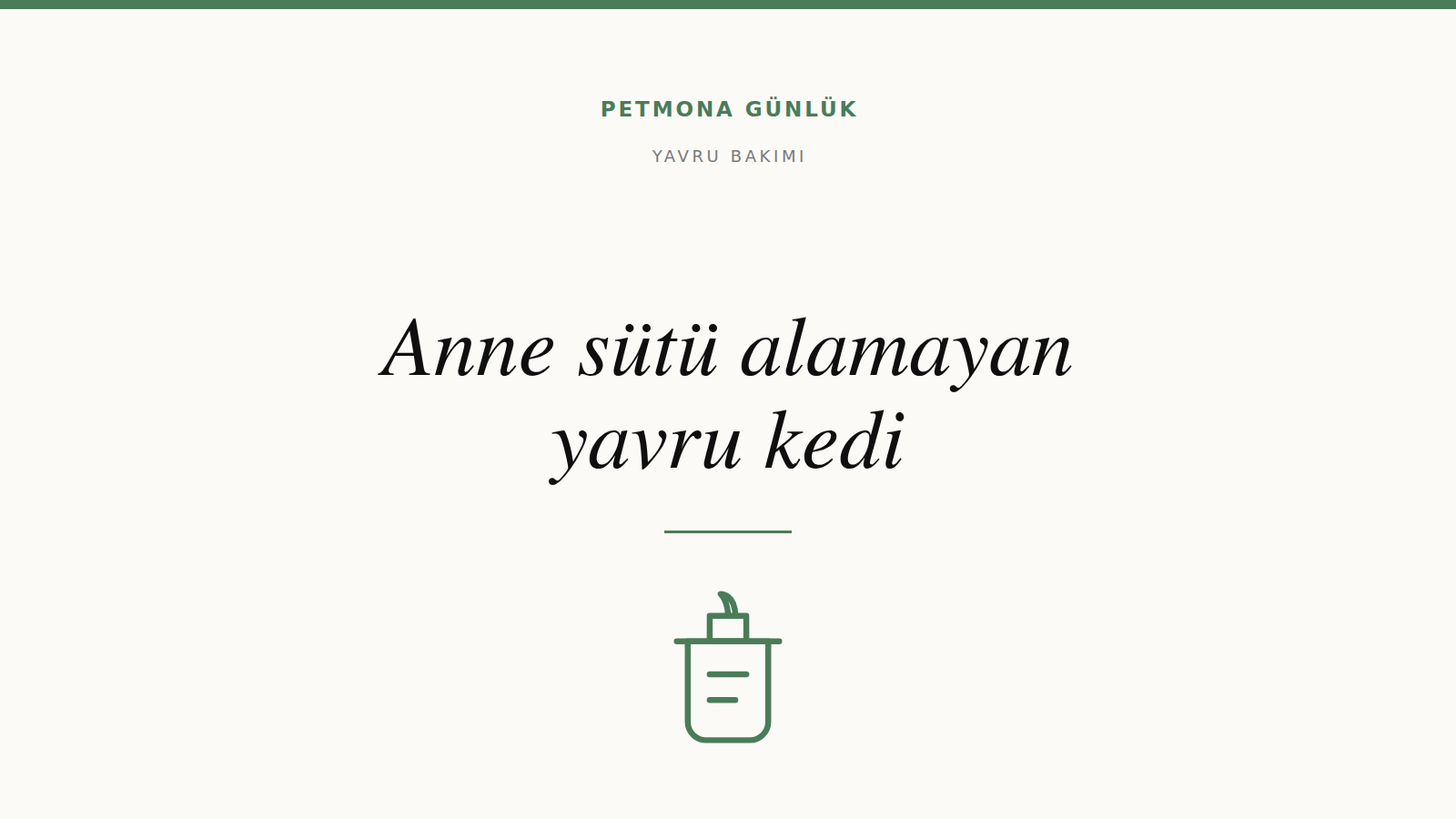 Anne sütü alamayan yavru kedi nasıl beslenir