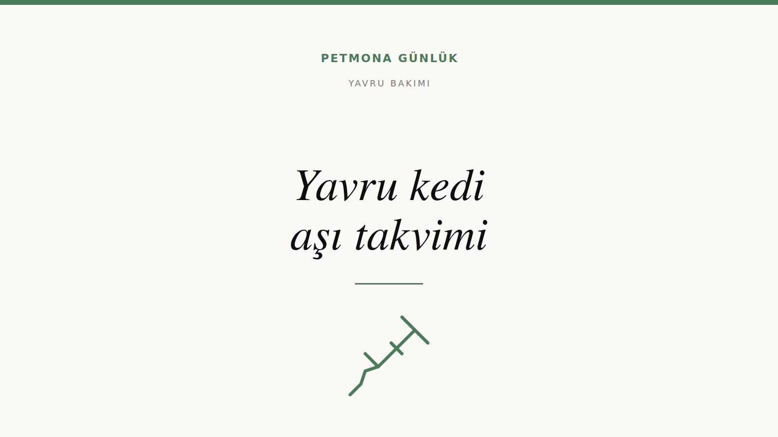 Yavru kedi aşı takvimi nasıl işler