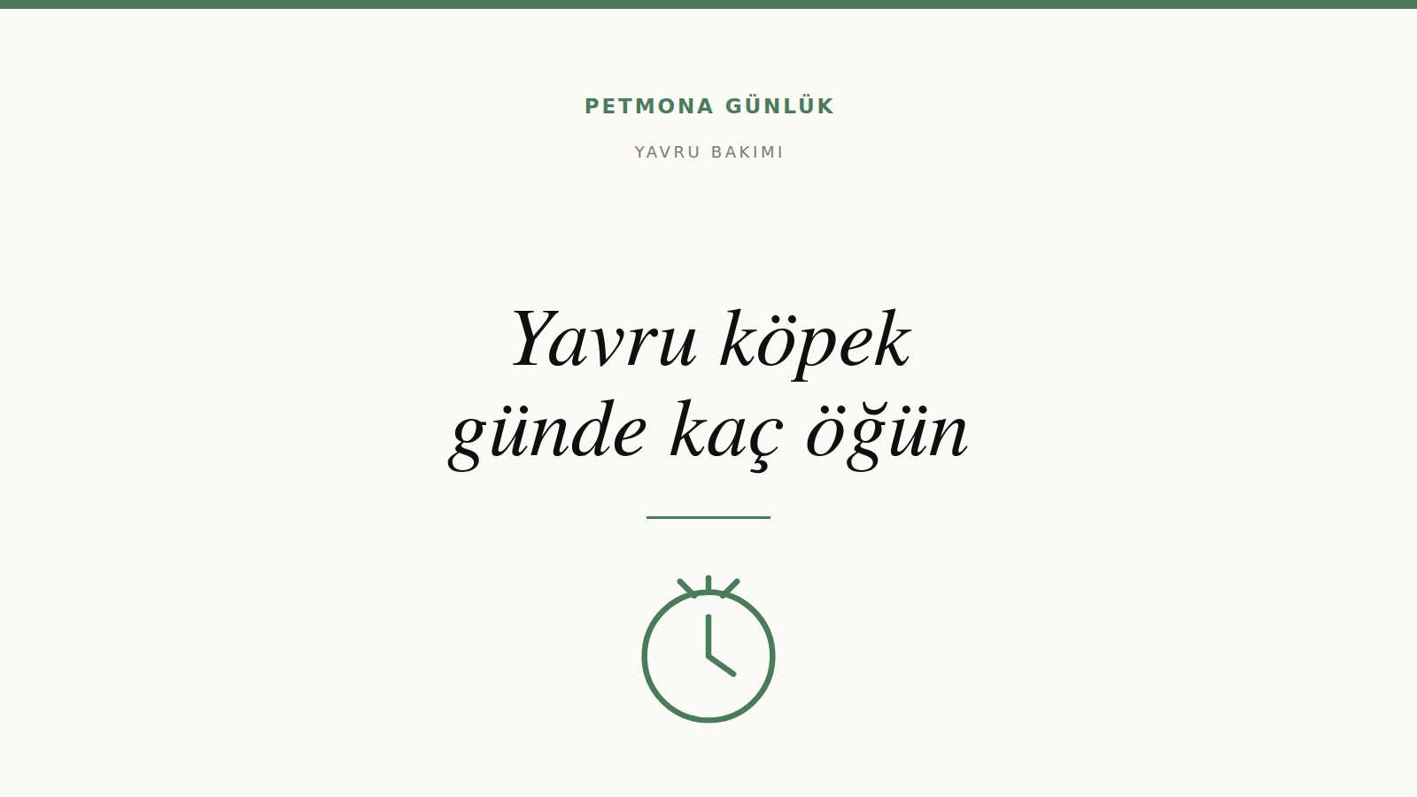 Yavru köpek günde kaç öğün yemeli