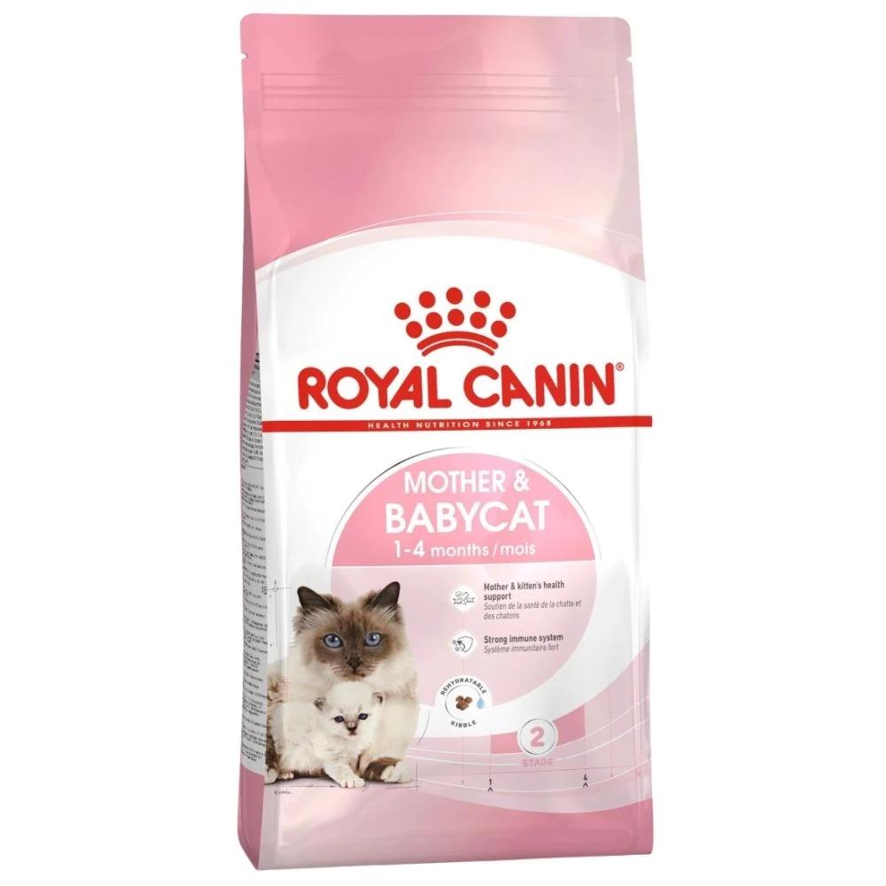 royacanin mother baby cat kuru mama
