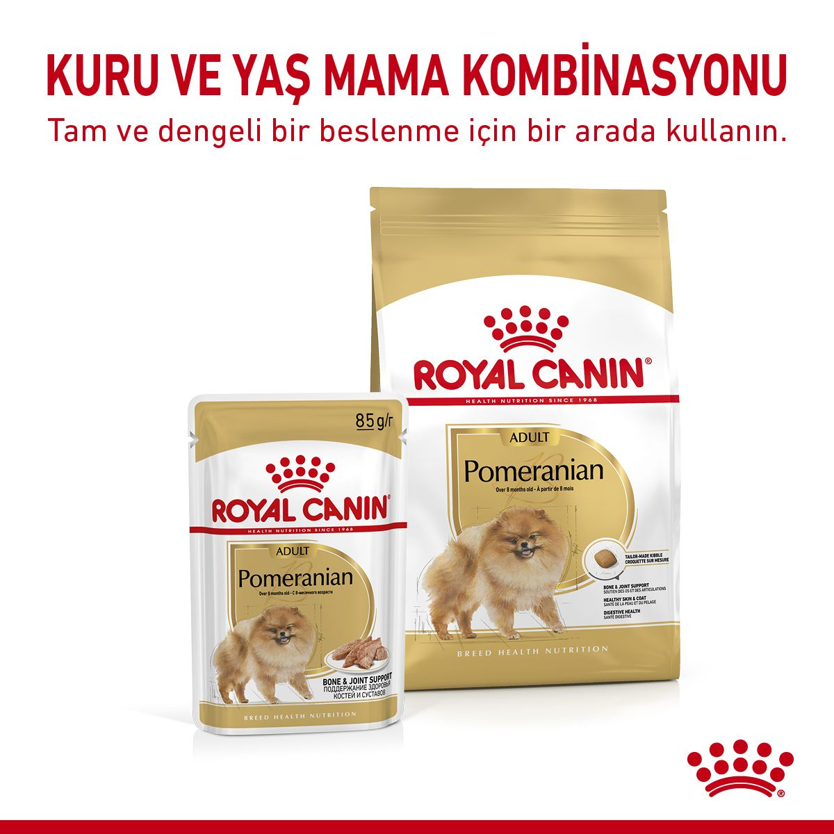 roal canin pomerian