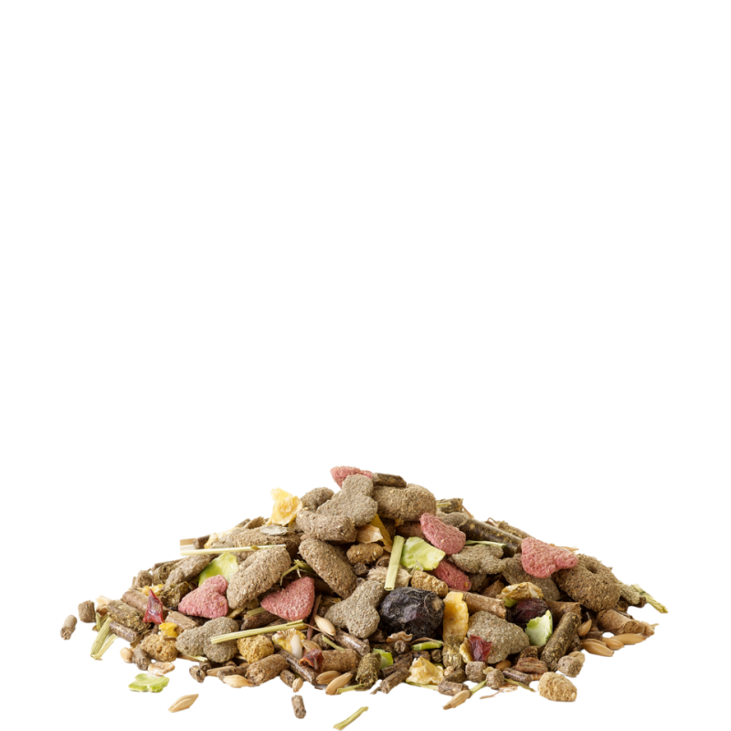 Versele-Laga Crispy Muesli Guinea Pig Ginepig Yemi 850 g görsel 3
