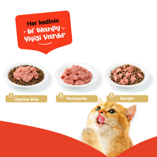 Wanpy Tahılsız Kedi %100 Gerçek Et Ton Balıklı Konserve 375 gr görsel 4