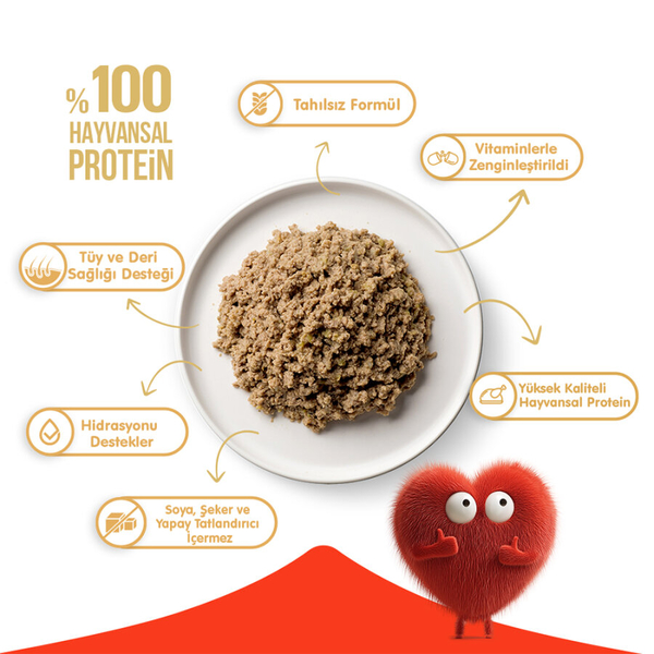 Wanpy Tahılsız Kedi %100 Gerçek Et Ton Balıklı Konserve 375 gr görsel 3