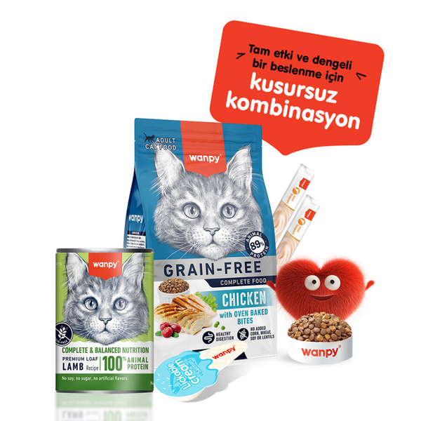 Wanpy Tahılsız Kedi %100 Gerçek Et Kuzulu Konserve 375 gr görsel 4